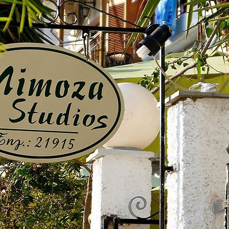Mimoza Studios Скіатос Екстер'єр фото